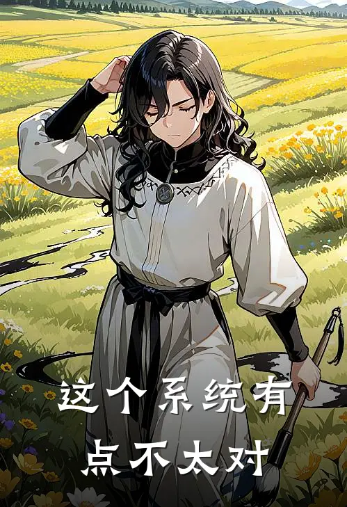 这个系统有点不太对