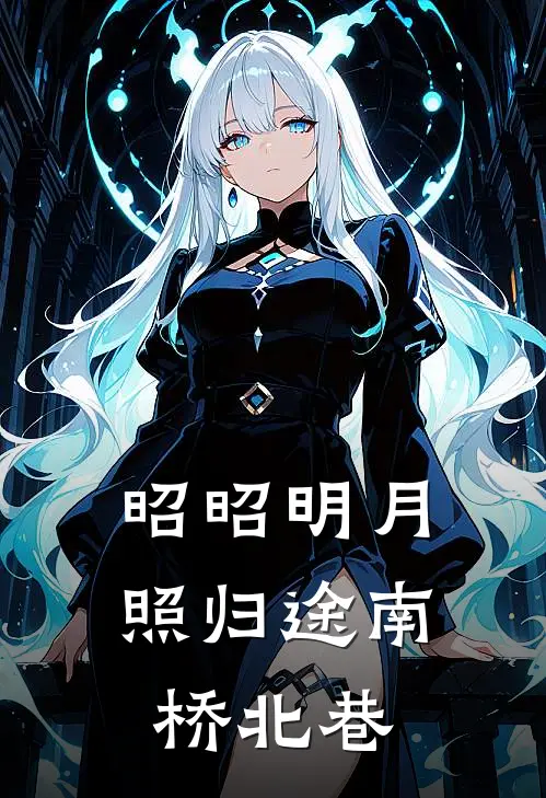 昭昭明月照归途南桥北巷