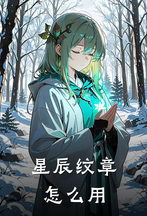 星辰纹章怎么用